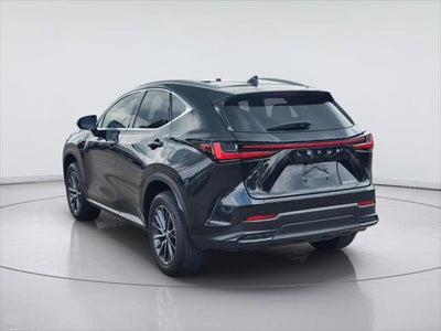 2025 Lexus NX COUPE PREM
