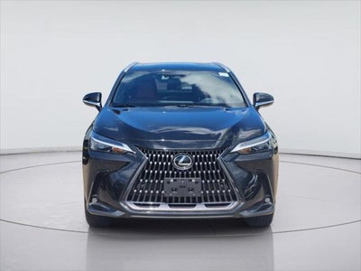 2023 Lexus Nx NX 350 Premium