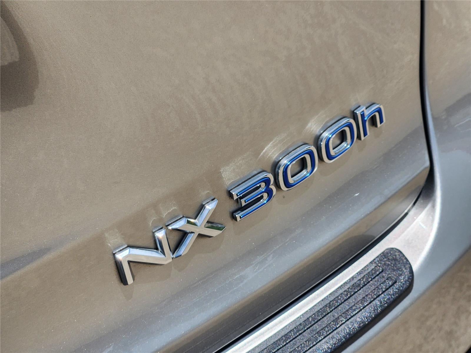 2019 Lexus NX300H 