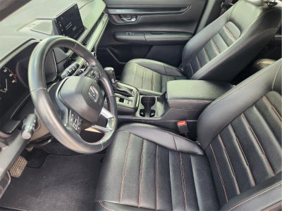 2025 Hyundai Palisade SEL Premium 8P