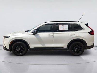 2025 Hyundai Palisade SEL Premium 8P