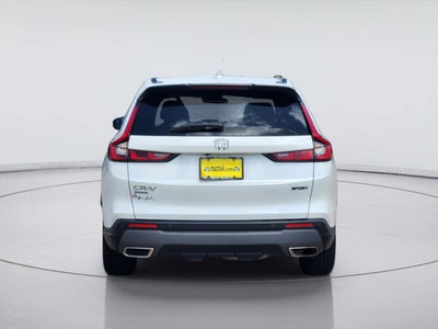 2025 Hyundai Palisade SEL Premium 8P