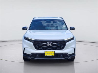 2025 Hyundai Palisade SEL Premium 8P