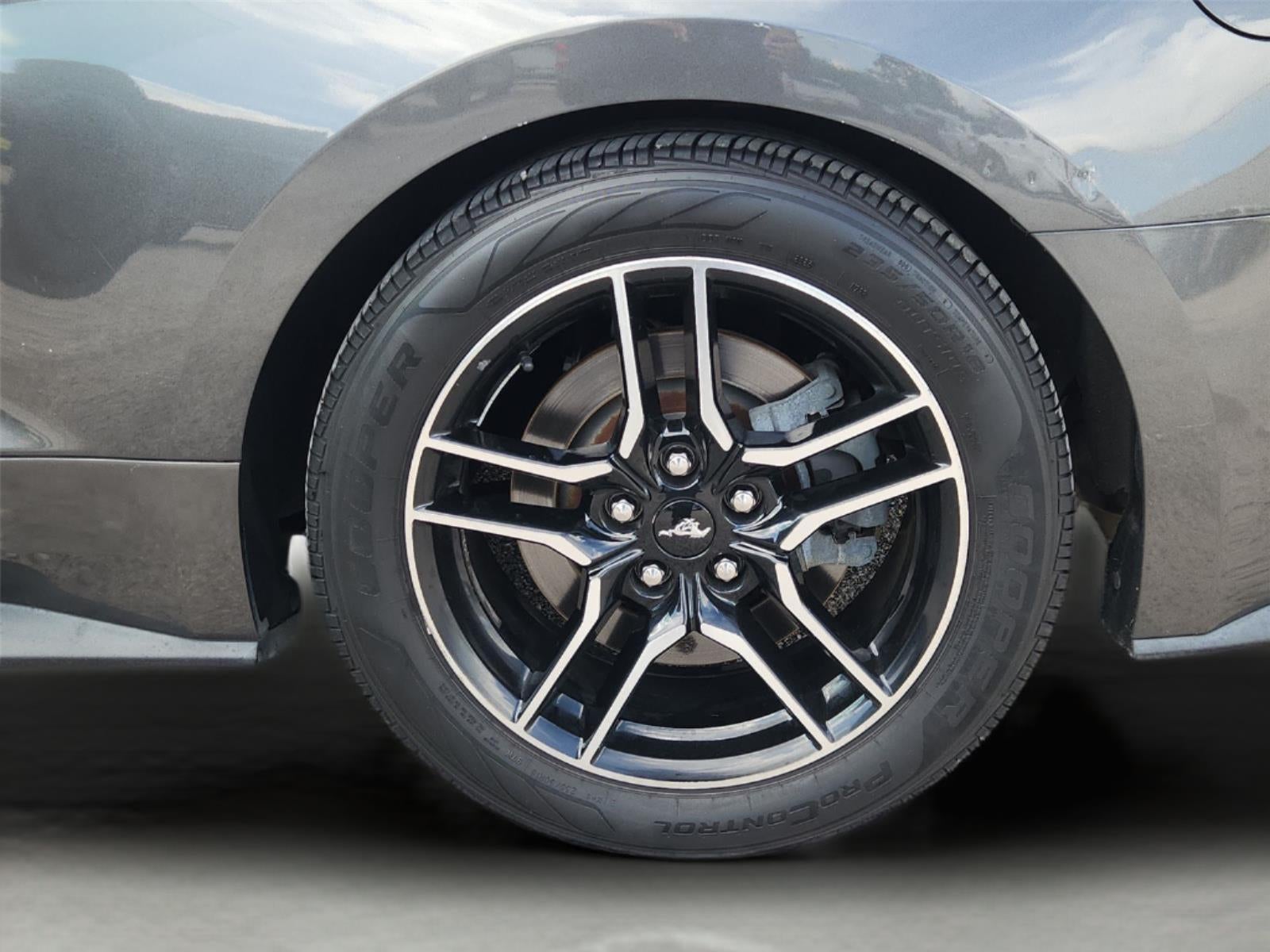 2019 Ford Mustang GT Premium