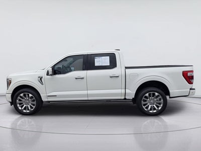 2023 Ford F-150 Limited