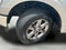 2024 Ford F150 PU XLT