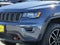 2020 Jeep Grand Cherokee Trailhawk 4x4
