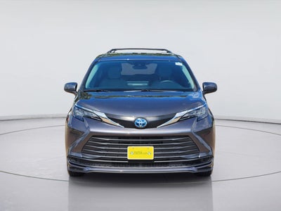 2025 Toyota Sienna LE