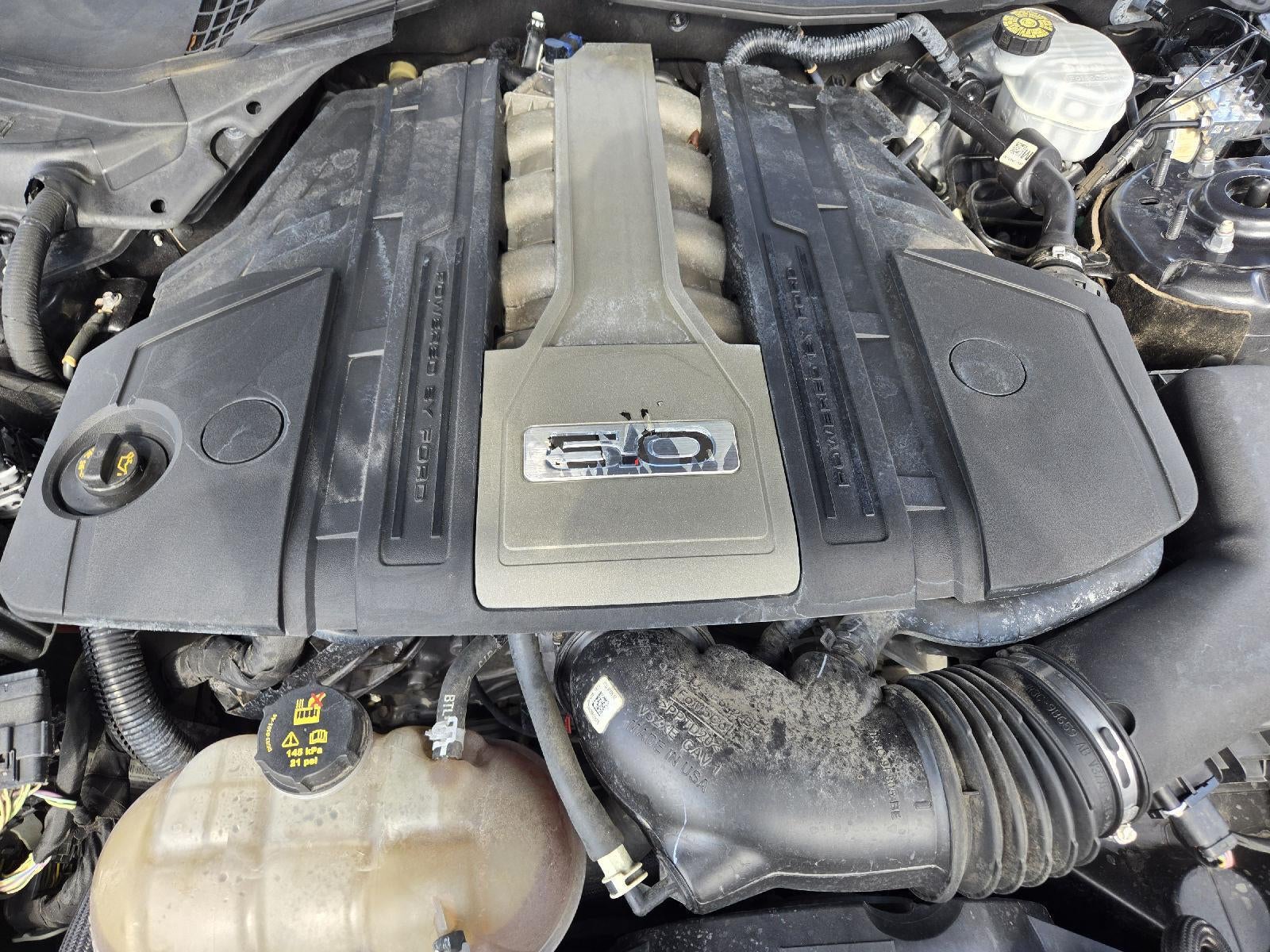 2019 Ford Mustang GT