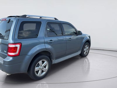 2011 Ford Escape Limited