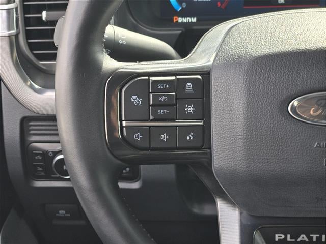 2025 Ford Super Duty F-250 Platinum