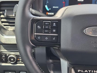 2025 Ford Super Duty F-250 Srw Platinum