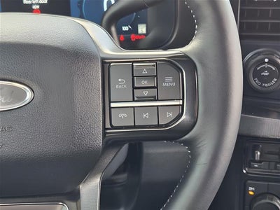 2025 Ford Super Duty F-250 Srw Platinum