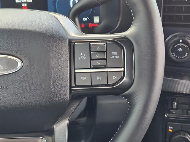 2025 Ford Super Duty F-250 Srw Platinum