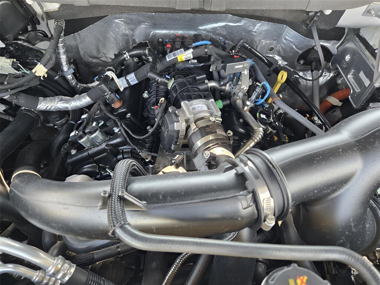 2024 Ford F150 XLT