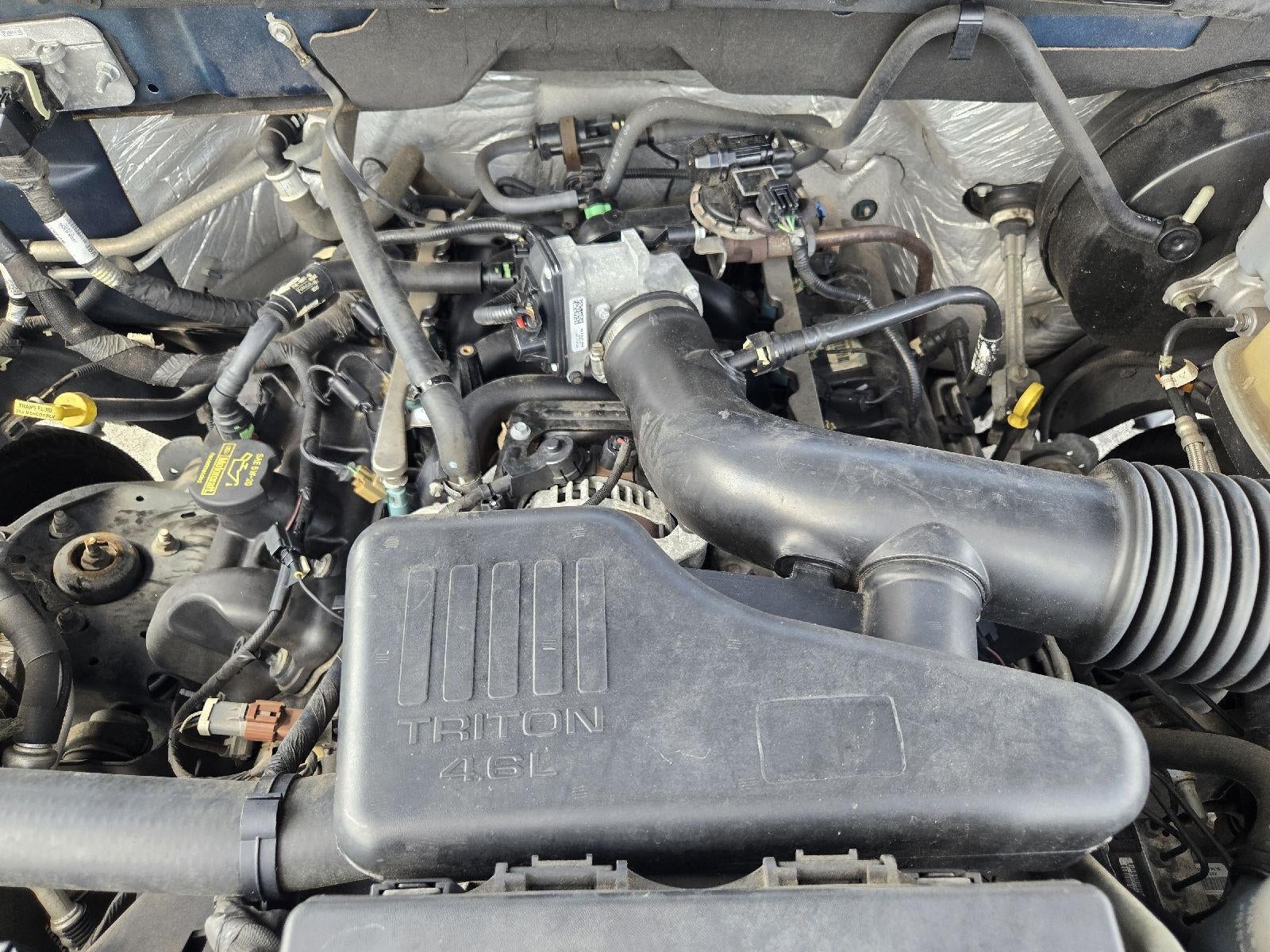 2009 Ford F-150 XLT
