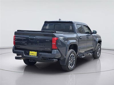 2025 Toyota Tacoma TRD Sport HV