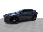 2024 Lexus NX NX 250 Premium