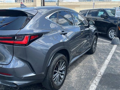 2024 Lexus NX NX 250 Premium