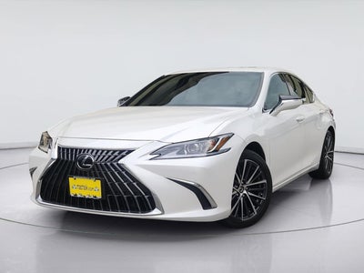2024 Y ES350 Base