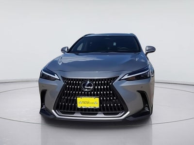 2024 Lexus NX NX 350h Premium