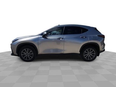 2024 Lexus NX NX 350h Premium