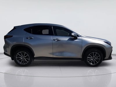 2024 Lexus NX NX 350h Premium